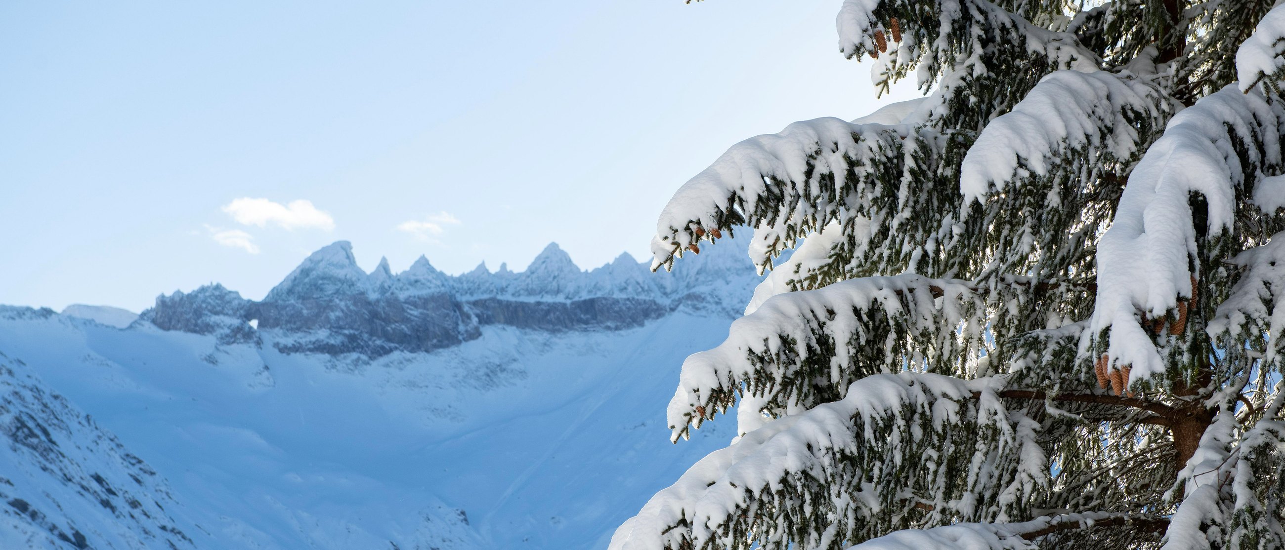 Verschneiter Bergkamm über Elm mit schneebedeckter Tanne